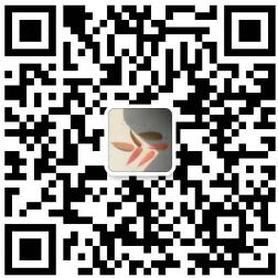 the qr code